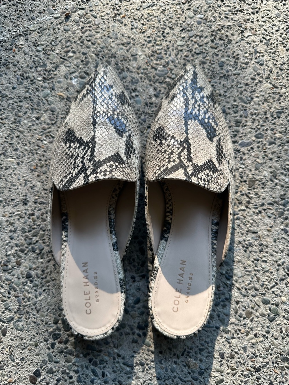 Cole Haan Snake-Print Pointed Toe Mules in Beige and Black in size 6B